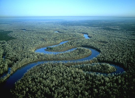 Bayou River