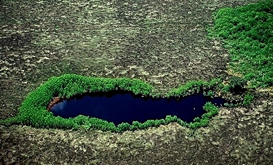 Florida Sinkholes on Aerial Photo Of Sinkhole Lake  Florida  Fl United States