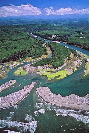 queets river shuttle