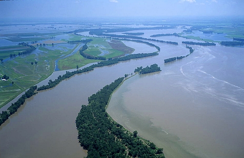 Spatiotemporal Patterns and Changes in Missouri River Fishes