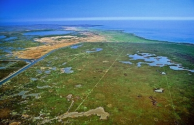 Marsh Island