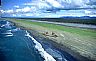 337: Shipwreck, Cape Yakataga, Southeast Coast, Alaska
