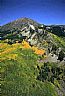 359: Autumn, Ruby Range, Gunnison County, Colorado